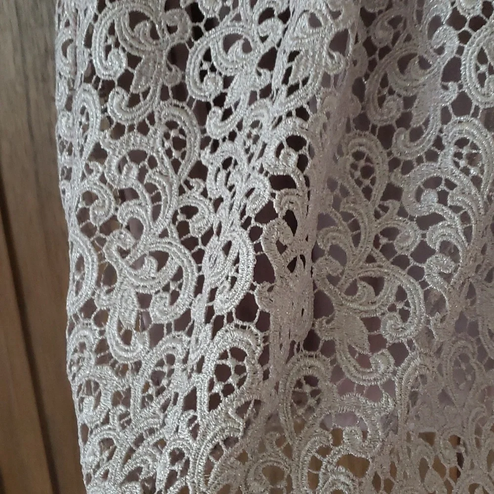 Boston Proper lace mini skirt, size 10 - Picture 2 of 4